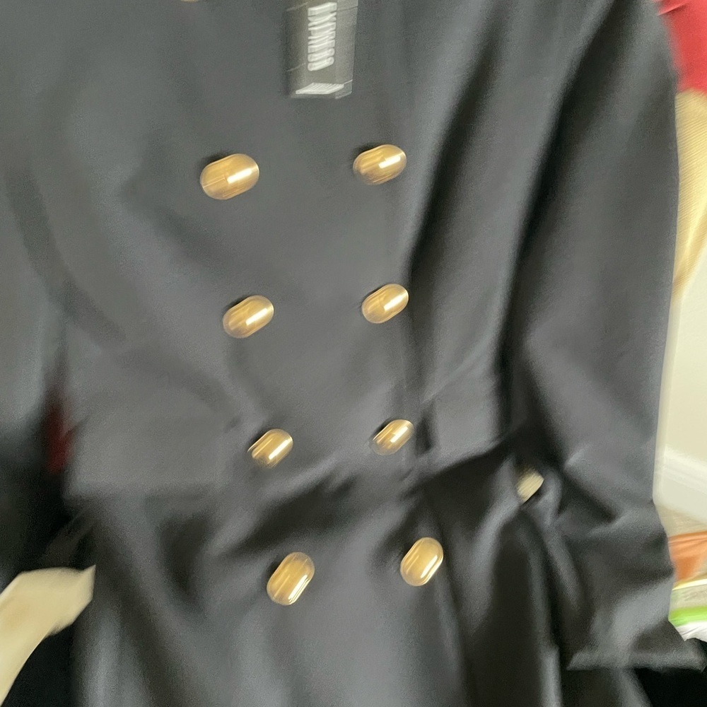Express Black dress with Gold Accents - Picture 5 of 5
